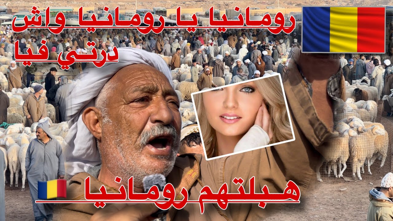 موال يخرج عن السيطرة # مانكلش لحم 🥩 رومانيا 🇷🇴 مباشر سوق حاسي بحبح