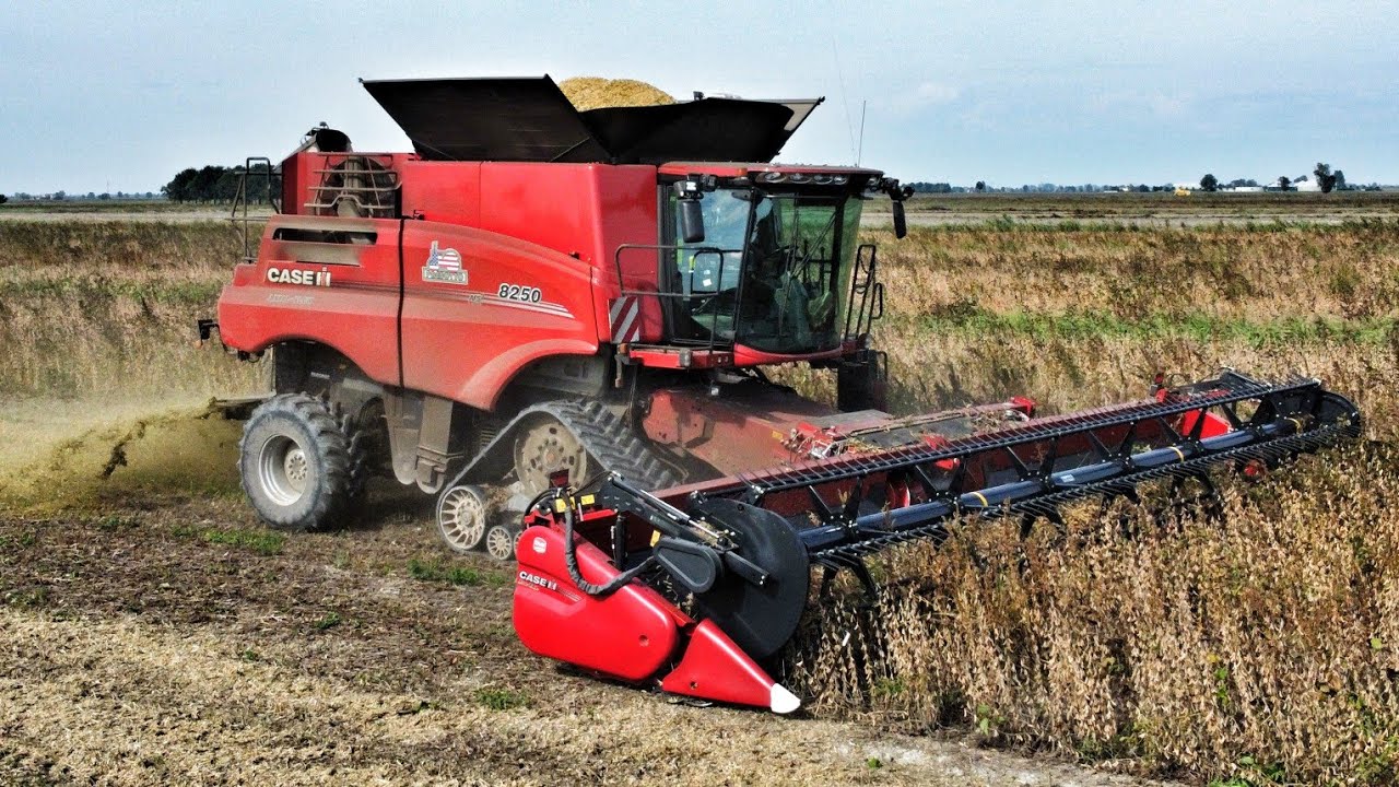 Trebbiatura soia 2022 | Case IH Axial Flow 8250 | Terraflex 10,80 m | Presotto