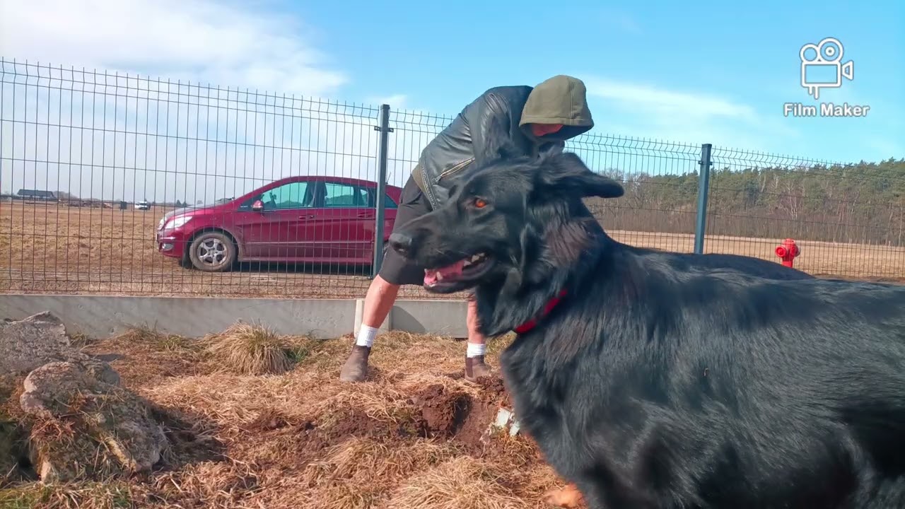 Praca w ogrodzie cz.1.🐕‍🦺🐕‍🦺🌲