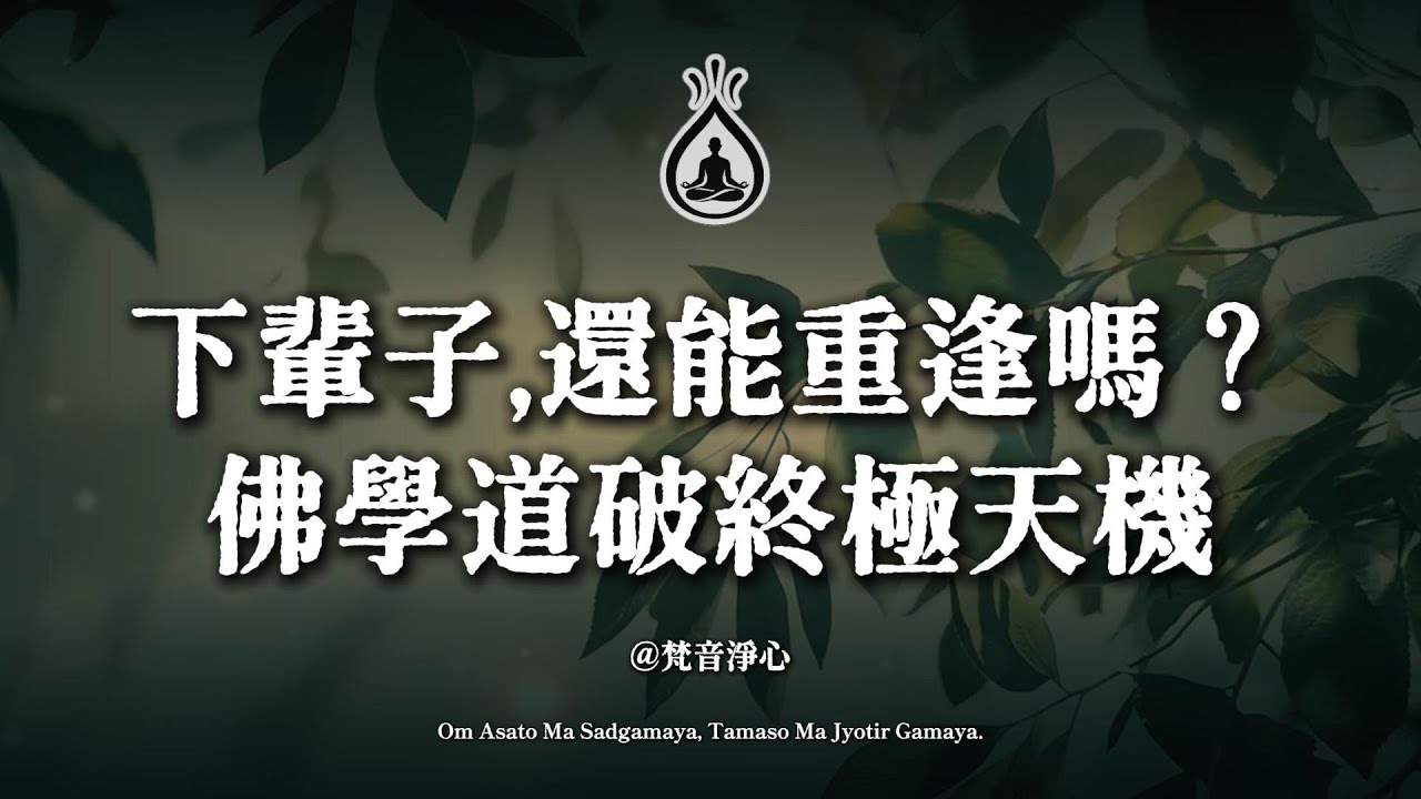 下輩子還能重逢嗎？佛學道破生死天機，揭秘靈魂歸處與輪迴真相！看完不再恐懼死亡【琉光】#生死 #輪迴 #下輩子 #琉光 #佛學 #靈魂 #前世今生 #親人 #覺醒 #生命真相
