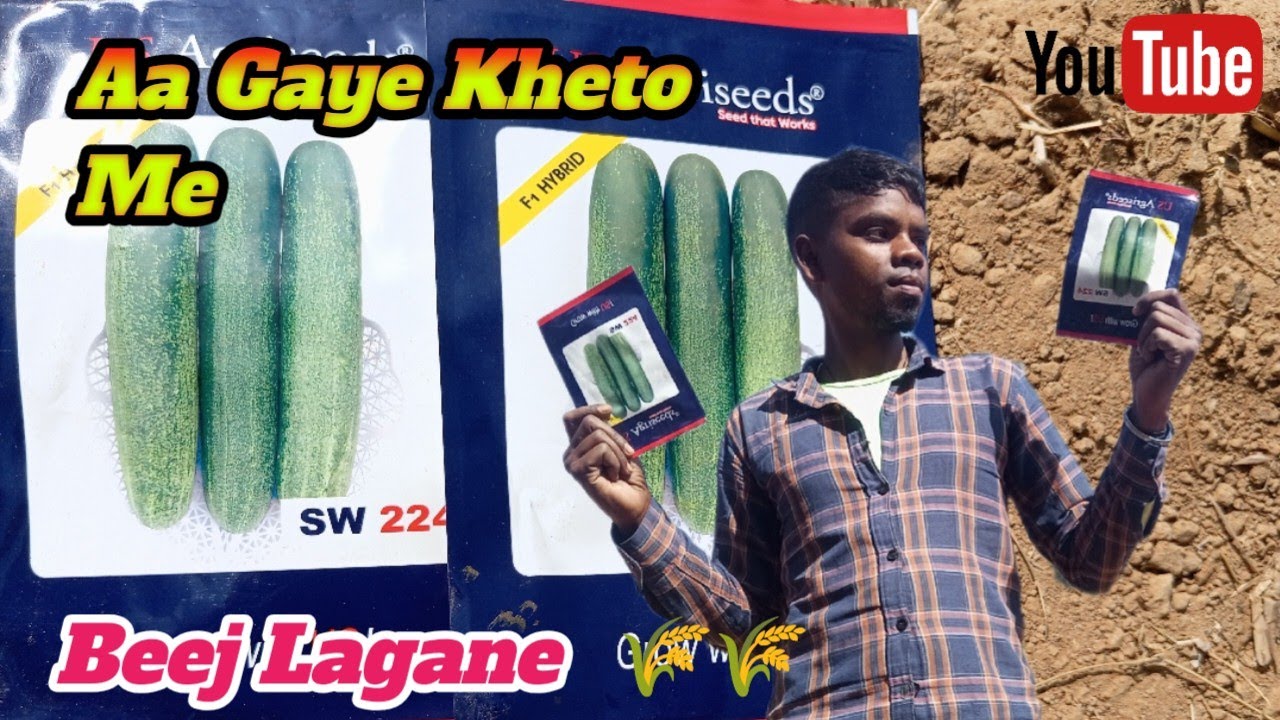 Aa Gaye Kheto Me Beej Lagane  live #livevideo #livestreem