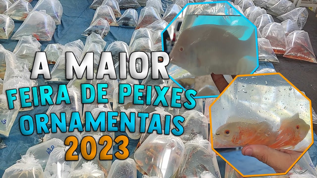A MAIOR FEIRA DE PEIXES ORNAMENTAIS DA AMERICA LATINA - FEIRA DO CECAP GUARULHOS 2023
