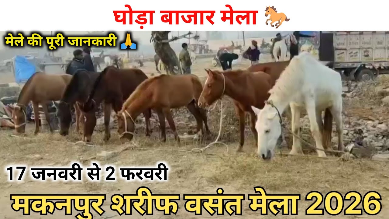 मकनपुर शरीफ बसंत मेला 2026 शुरू हो गया  है 🙏 dekhiae Puri jankari mela ki 