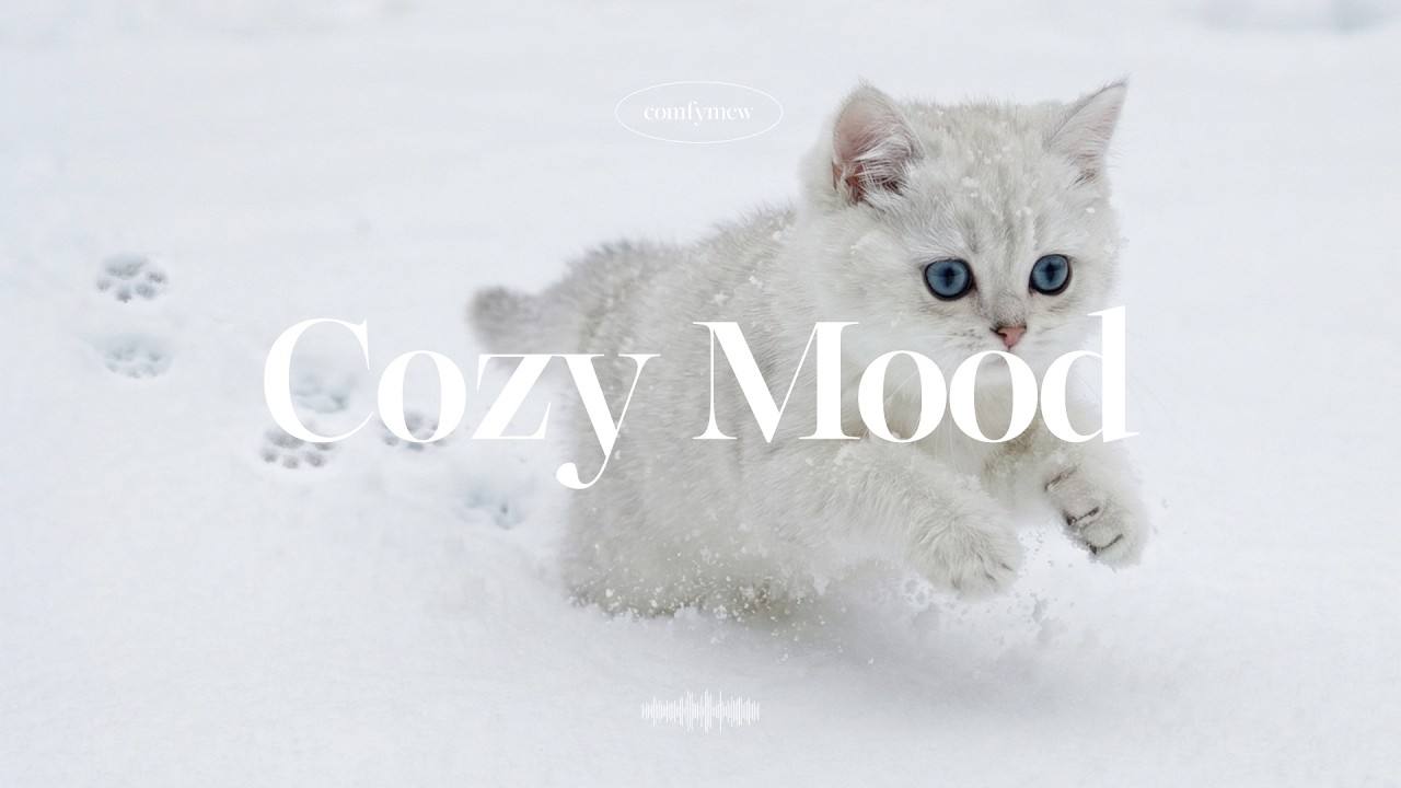 🎧Get Your Daily Dose of Happy & Coz 🍭Cute music BGM for Study, Work, Rest | Comfymew
