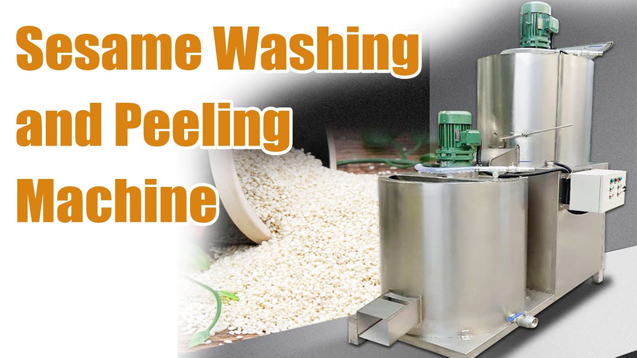 Sesame Washing and Peeling Machine - Efficient Seed Processing