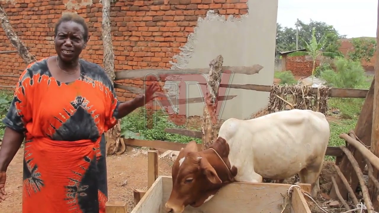 Edith Wakumire Muduwa:Looking at teacher who is empowering women