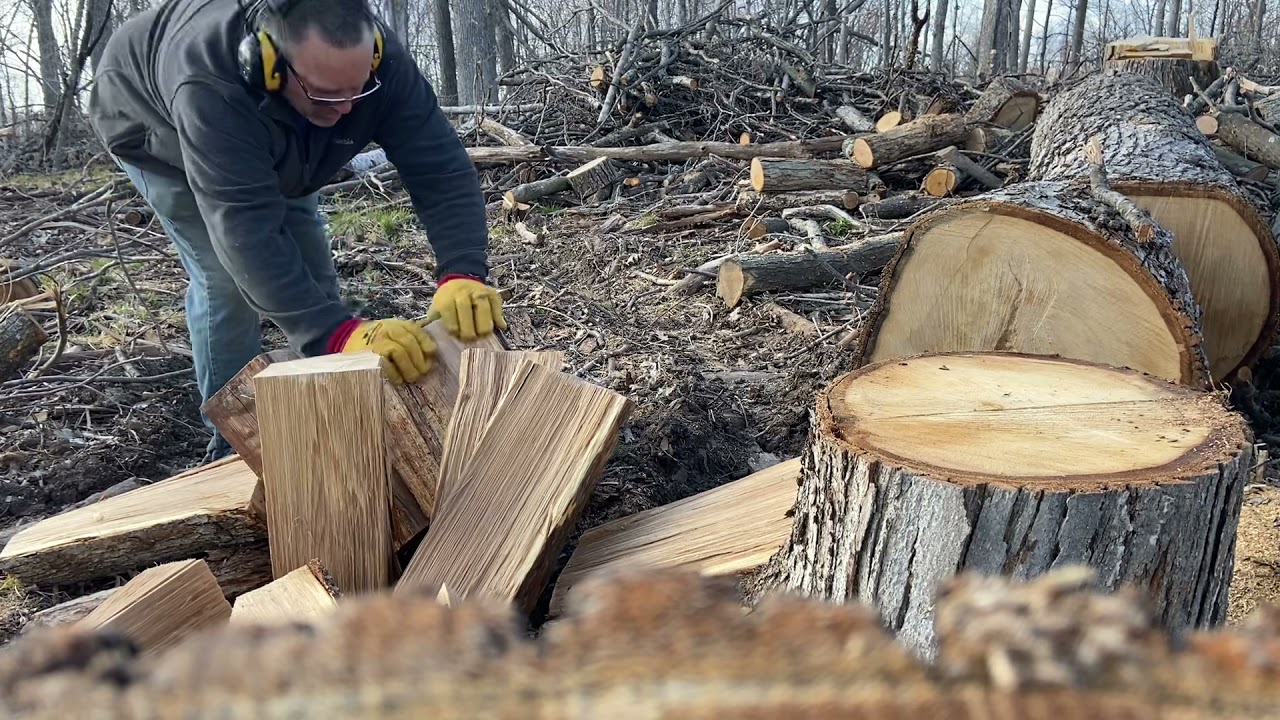 Splitting fresh cut white oak and white oak that has dried.