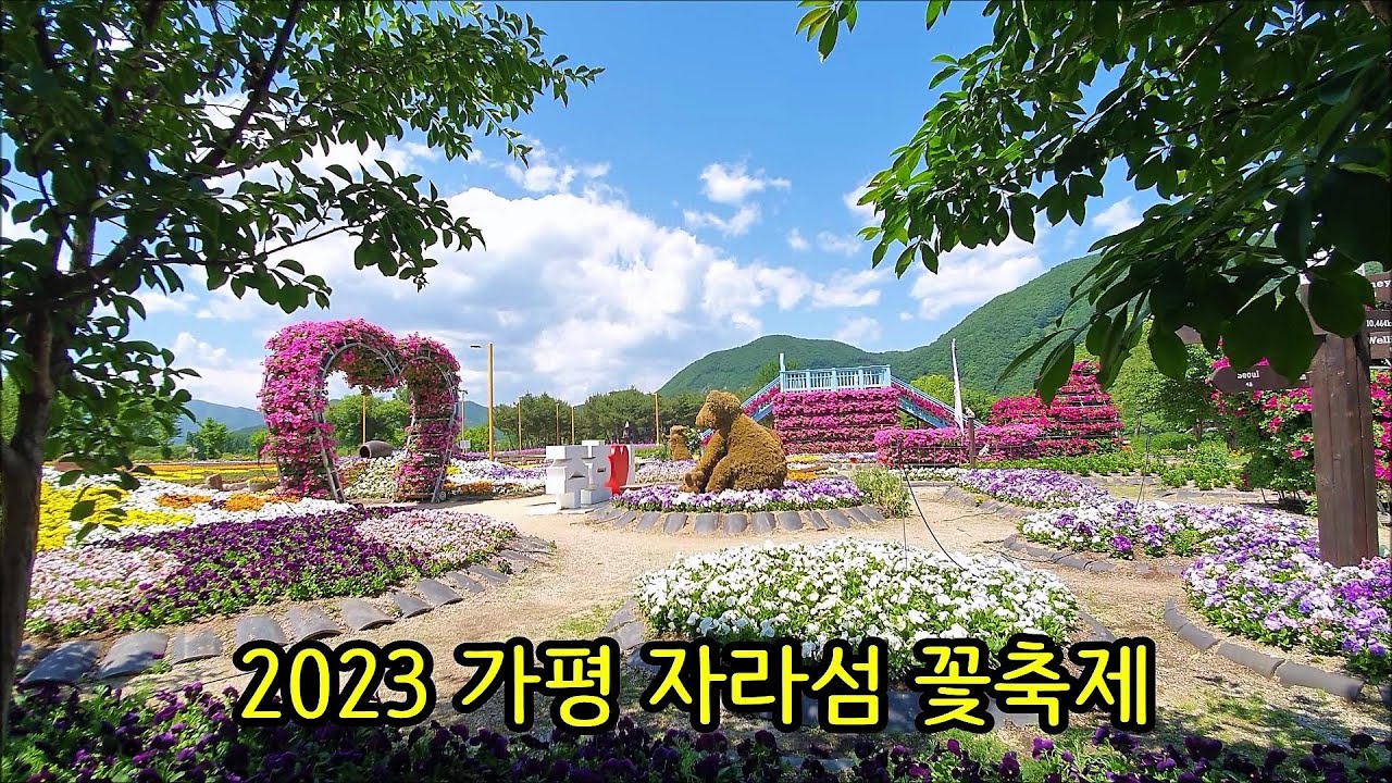 [가평 자라섬] 2023 자라섬 꽃축제, 꽃페스타 Colorful Garden, Gapyeong