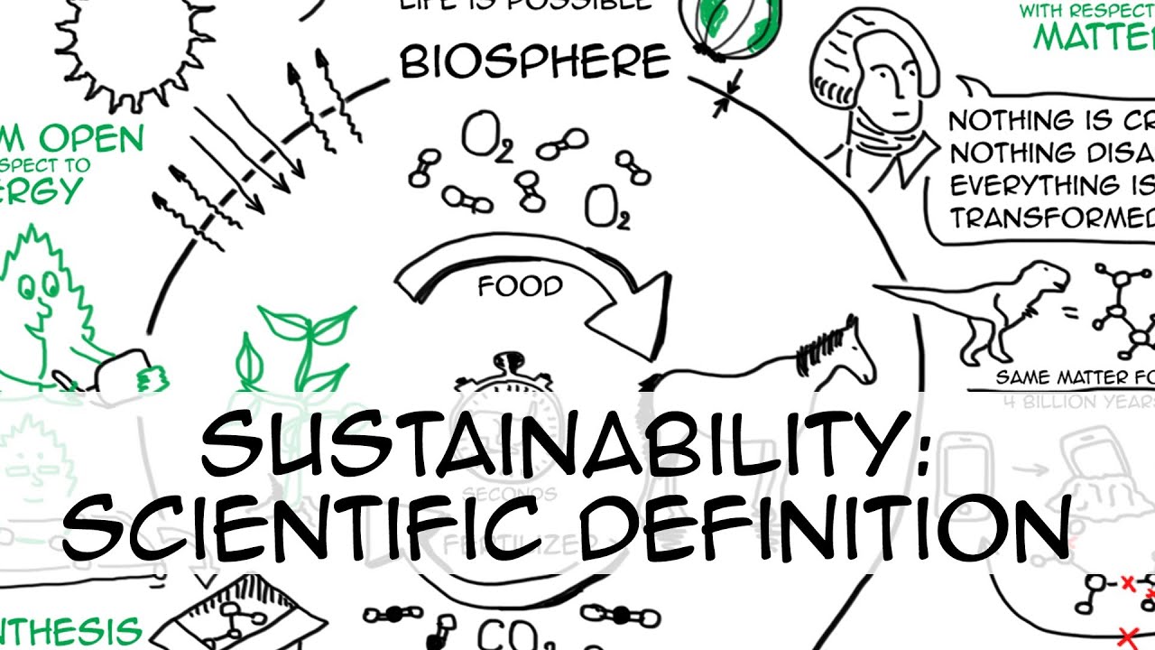 Sustainability: simple definition (whiteboard animation)