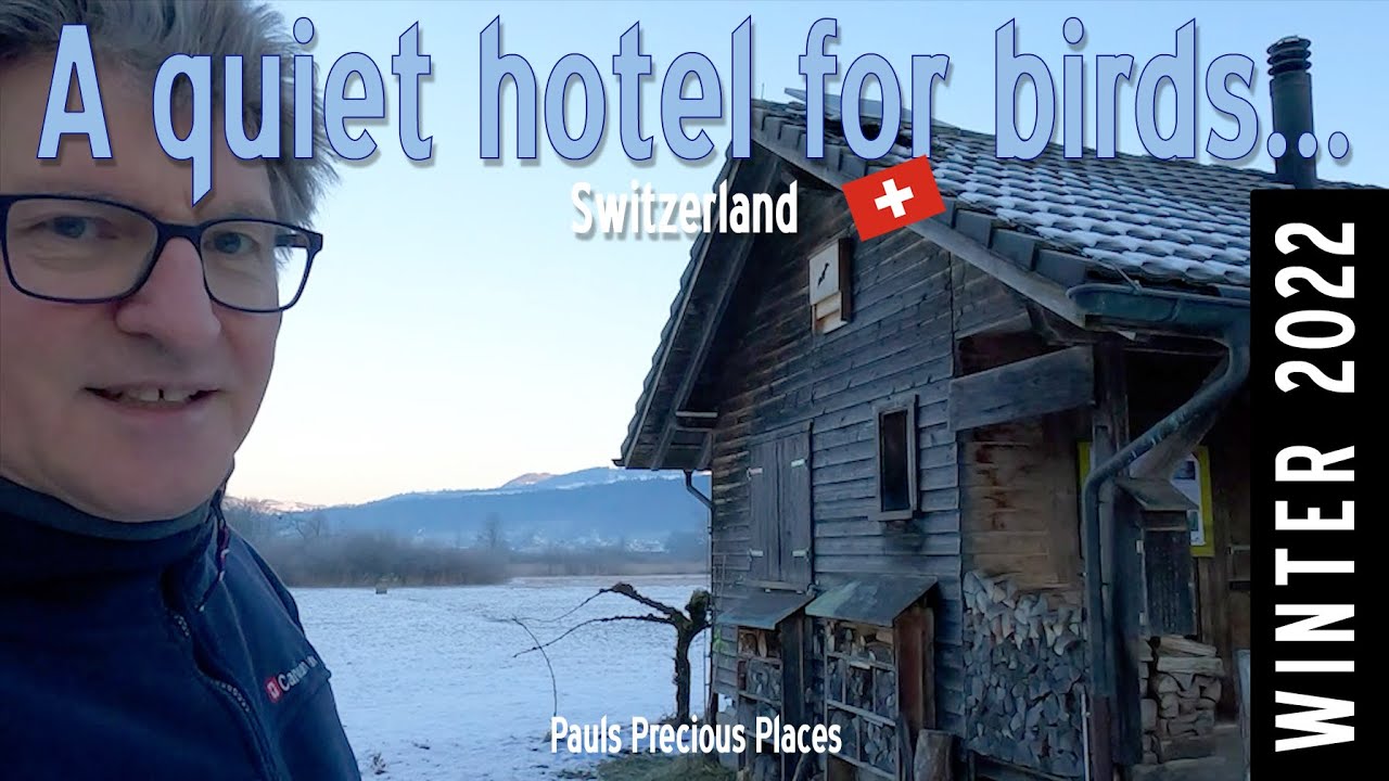 Das Hotel der besonderen Art... - nicht nur f&uuml;r V&ouml;gel!