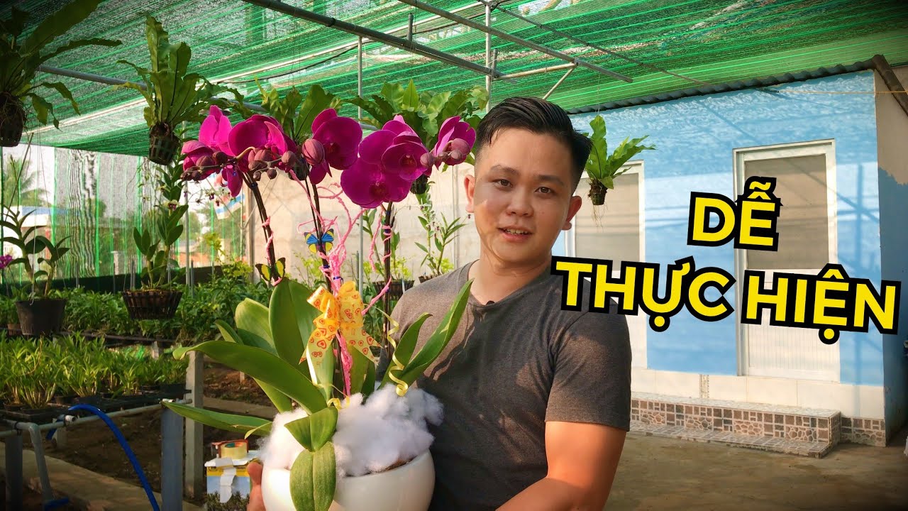 CÁCH CẮM HỒ ĐIỆP ĐƠN GIẢN NHẤT CHƠI TẾT, AI CŨNG LÀM ĐƯỢC! #HOALANDUYPHONG