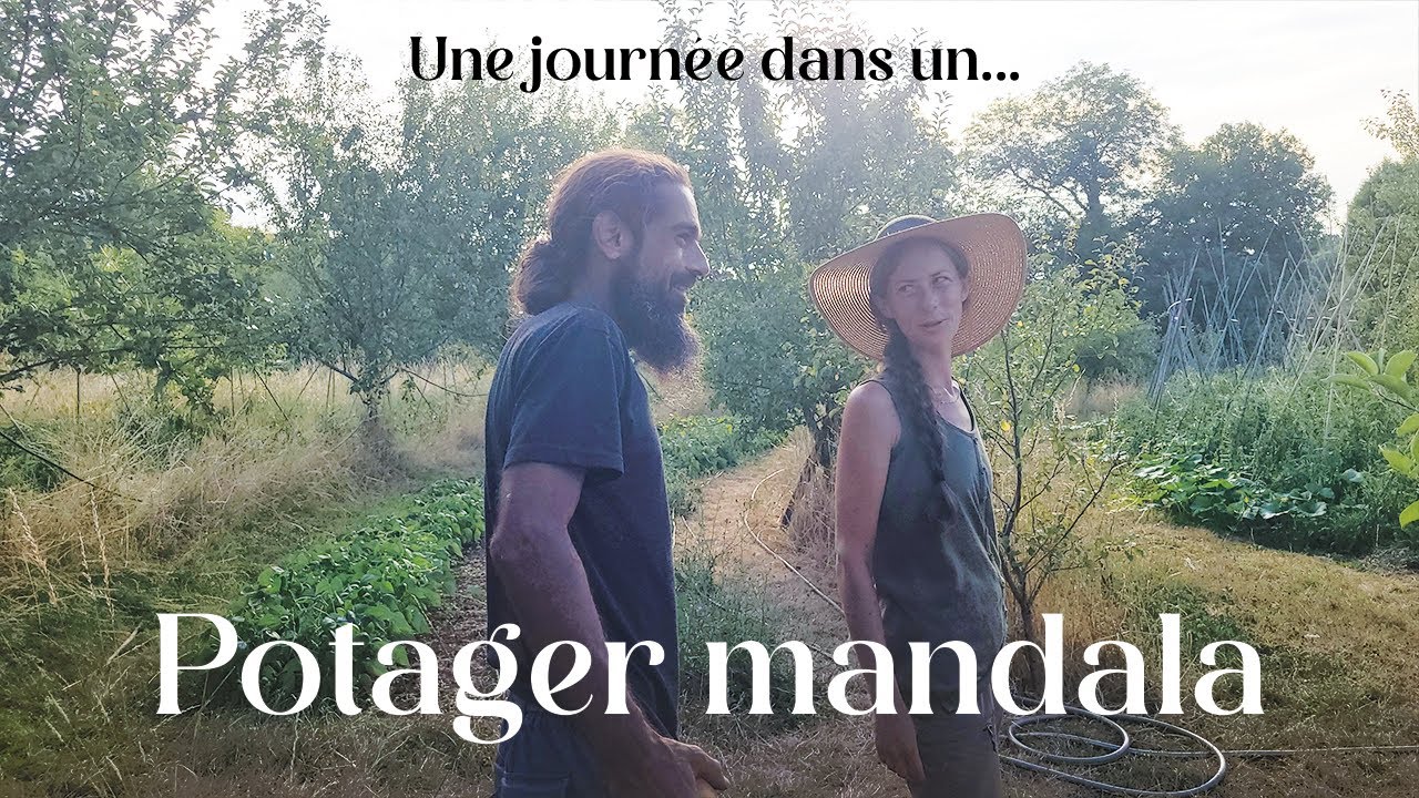Un jardin pas comme les autres : immersion dans un potager mandala incroyable