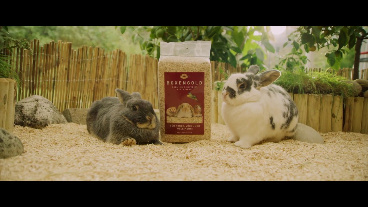 Einstreu f&uuml;r Kleintiere wie Hasen und Hamster | Boxengold&copy; Premium Ecostreu