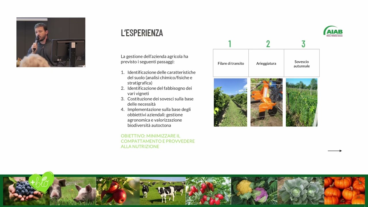 Esperienze locali sulla viticoltura biologica
