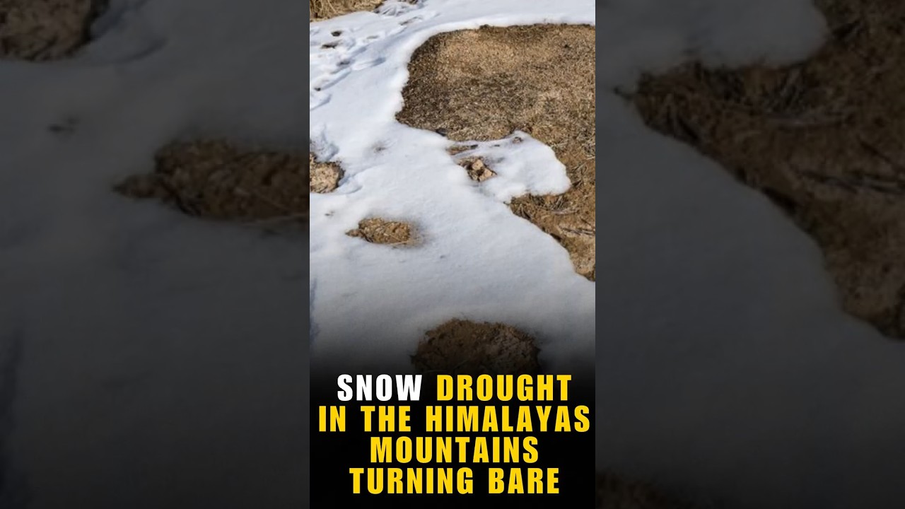 Snow Drought in the Himalayas: Mountains Turning Bare | La Excellence