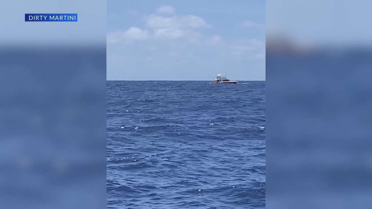 Record-breaking marlin caught at Big Rock Tournament