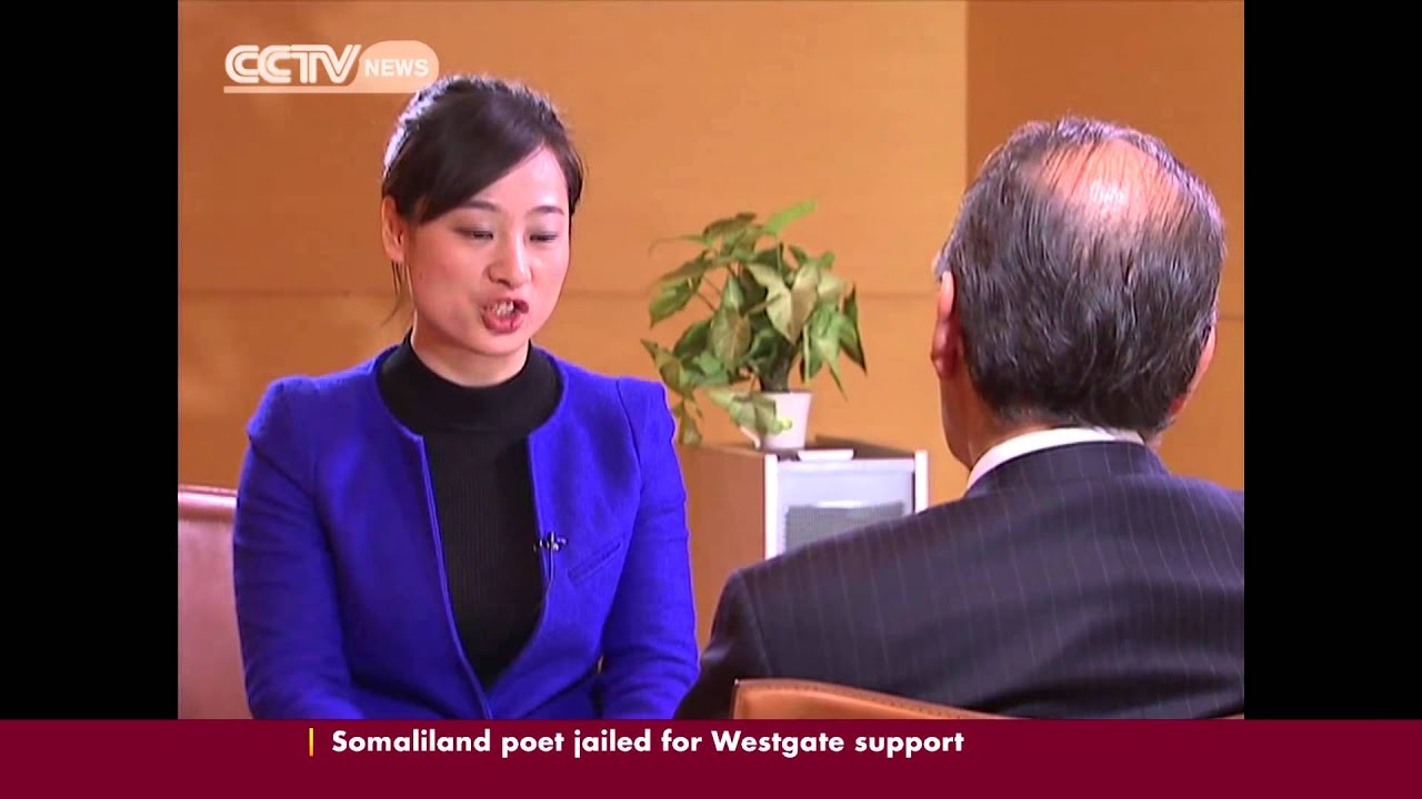 China investing in Africa manufacturing and service sectors