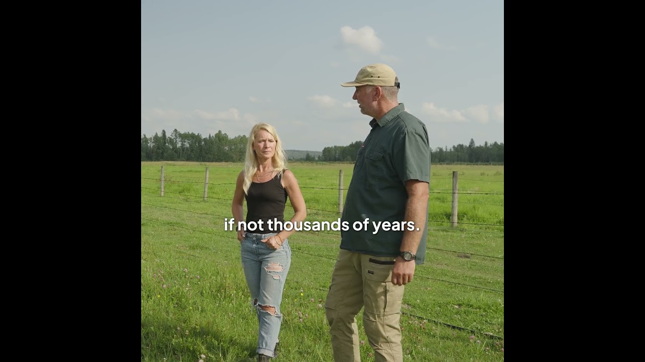 What is Rotational Grazing? #RegenRoadTrip