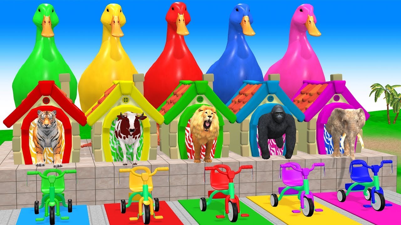 Long Slide Game With Cow Elephant Gorilla Hippopotamus Tiger - 3d Animal Game - Funny 3d Animals