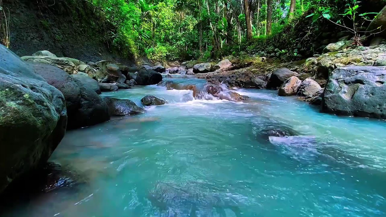 Mountain Stream Natural Water, Forest River Sounds, Sleeping