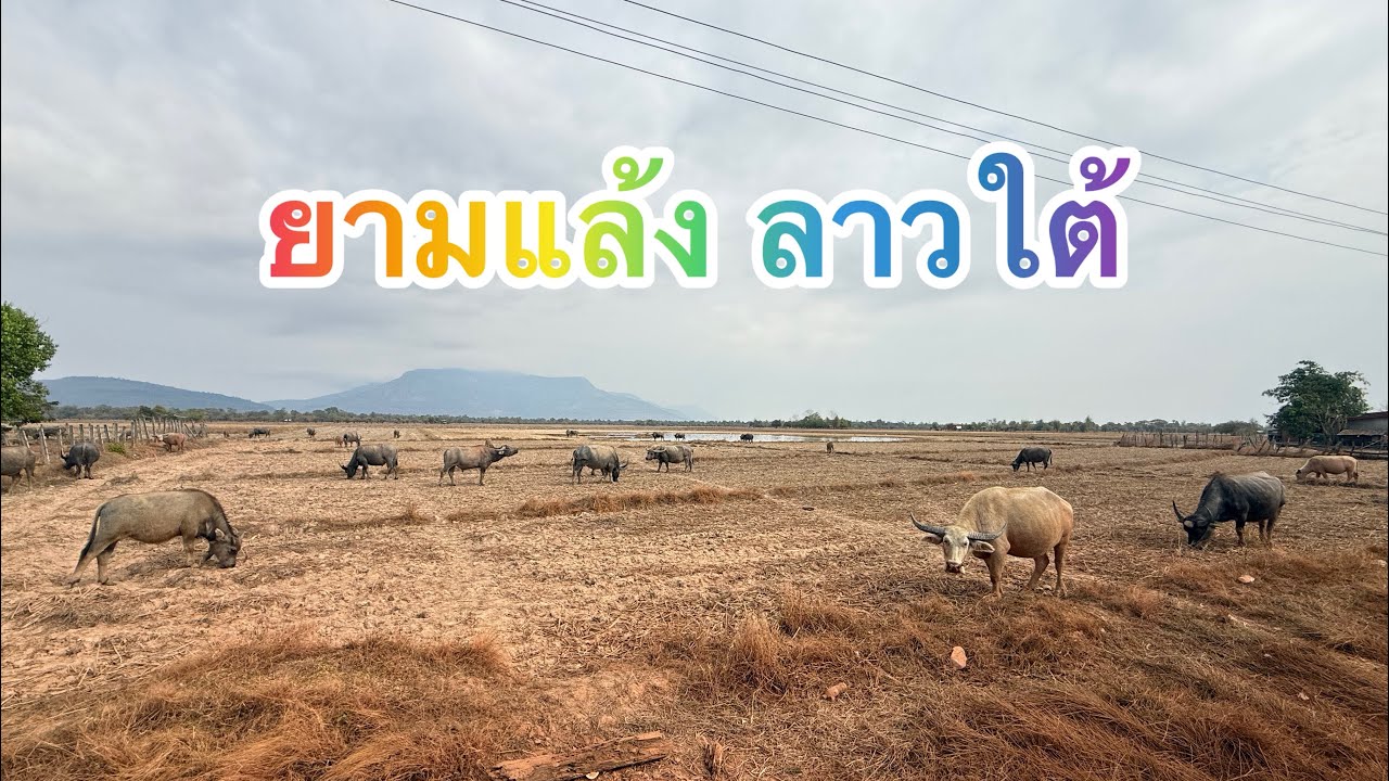 บรรยากาศหน้าแล้ง ลาวใต้ ทางไปบ้านแสนเมือง เมืองสุขุมา จำปาสัก