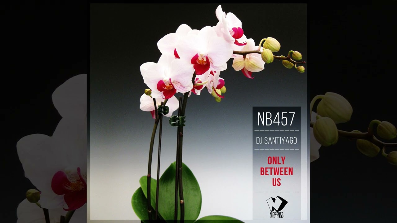 DJ Santiyago - Only Between Us [Chillout And  Drum & Bass Realese] 2026