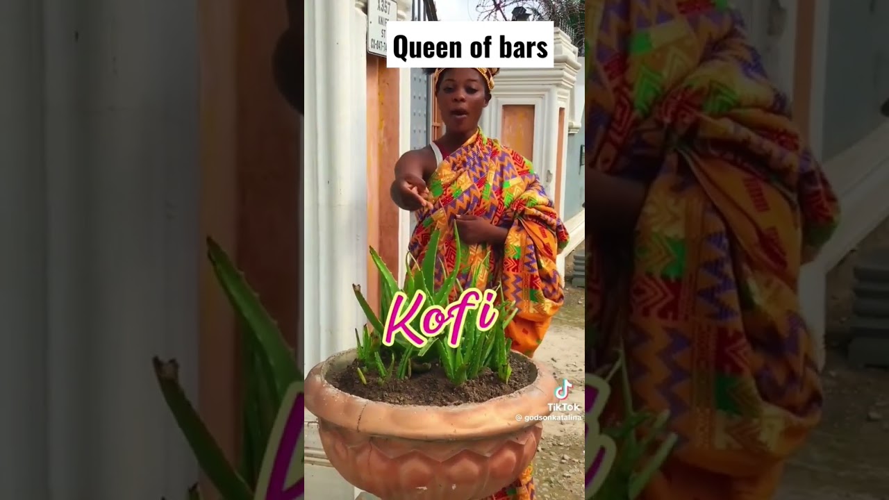 Queen of bars