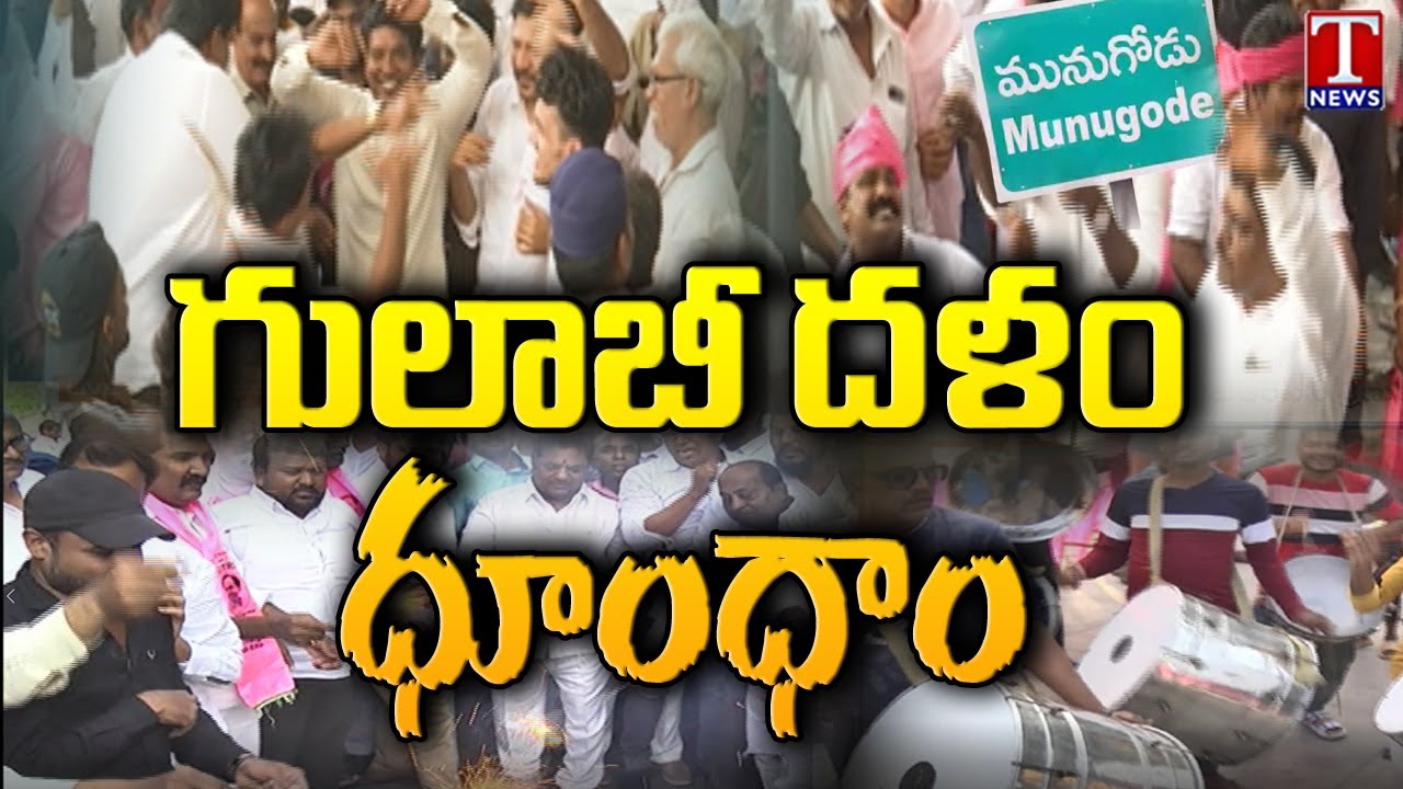 Celebrations in TRS Bhavan | Munugode Bypoll Results | T News