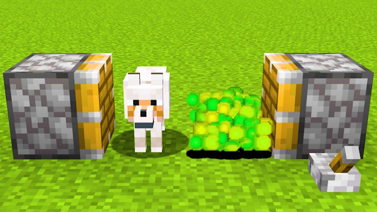 wolf + xp = ??? - minecraft compilation