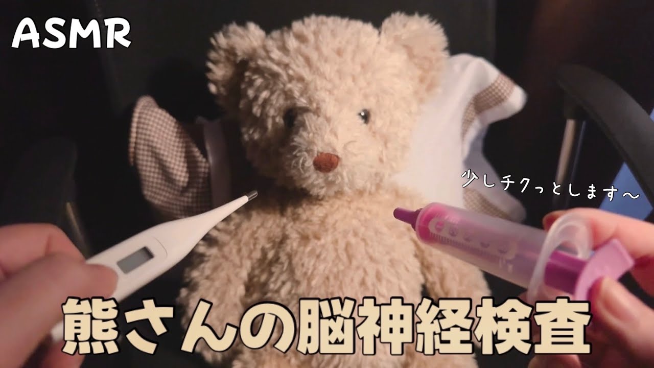 日本語 ASMR | 熊さんの脳神経検査🐻🩺 