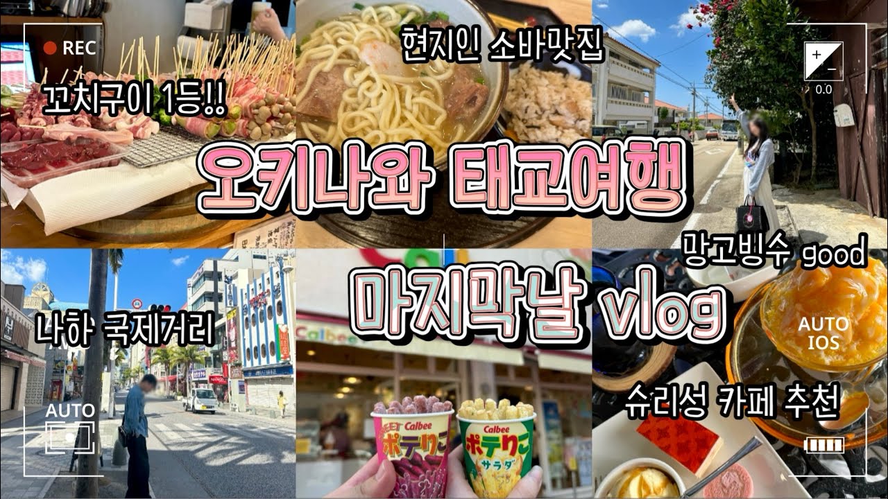 일본 오키나와 태교여행 vlog 마지막_오키나와 소바|슈리성|망고빙수카페|이치란라멘|모토무라규카츠|한정판 자가리코 칼비|국제거리술집추천(꼬치구이맛집)|마키시시장
