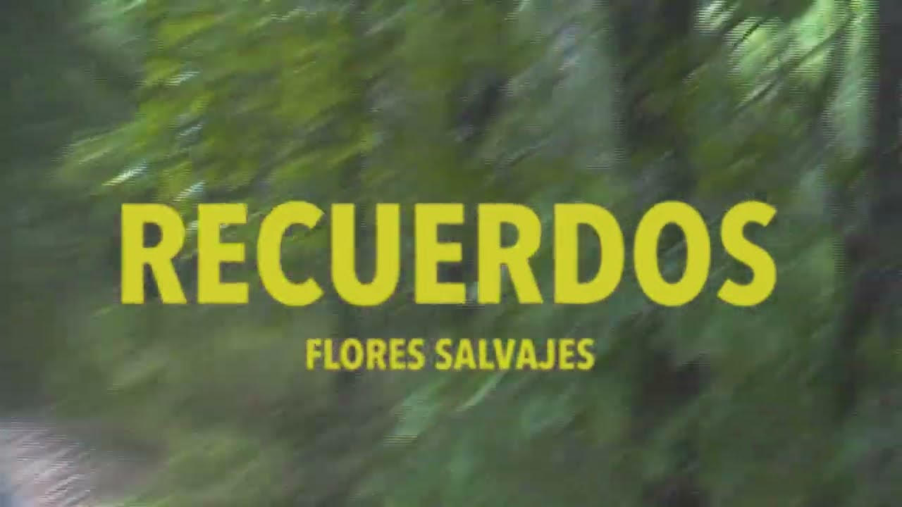 Flores Salvajes - Recuerdos (Video Oficial)
