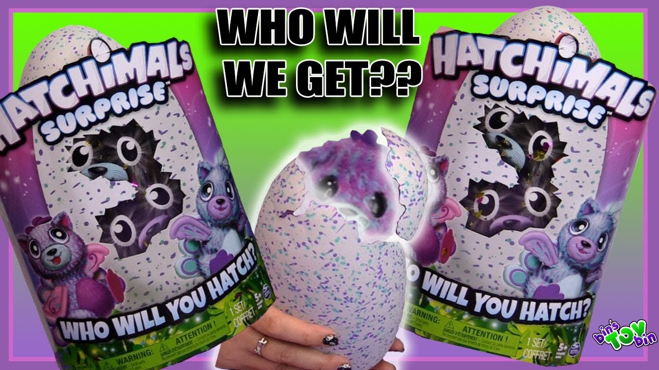 HATCHIMALS SURPRISE 2017! Who's INSIDE? Help Us NAME Them!