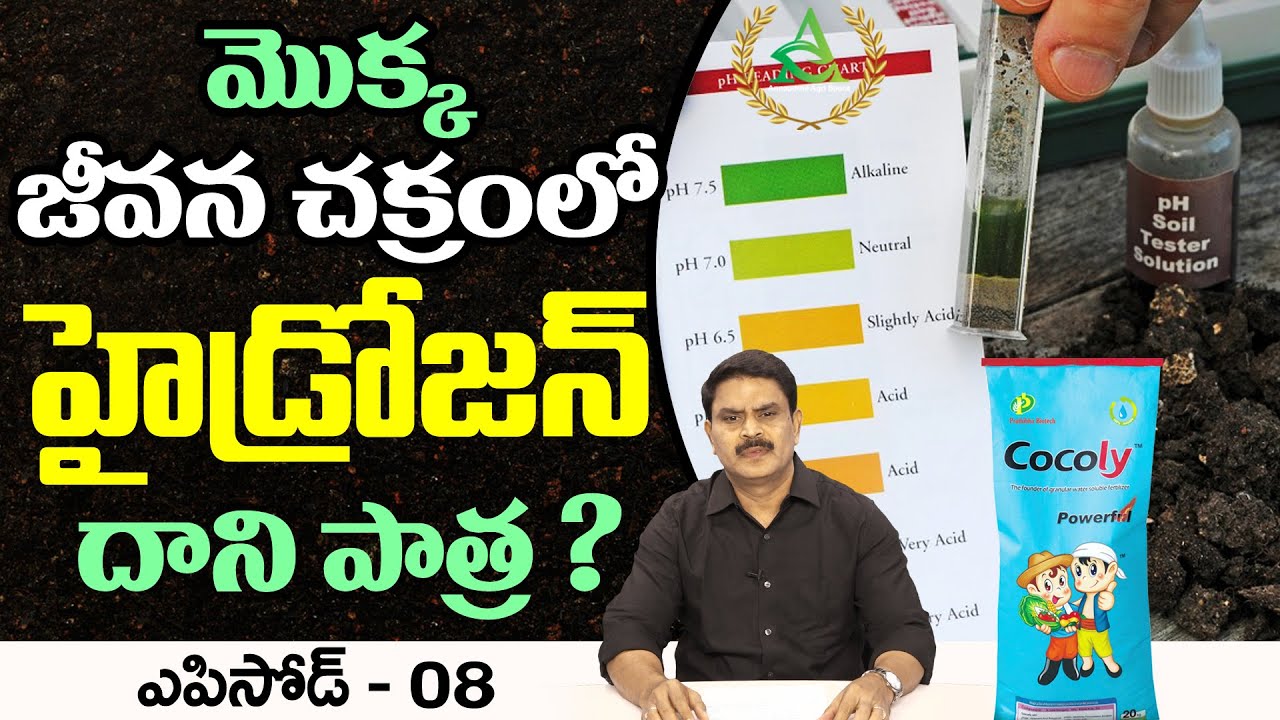 ఎపిసోడ్-08_మొక్క జీవన చక్రంలో హైడ్రోజన్ పాత్ర?|Hydrogen role in plant life cycle|Annapurna agrispace