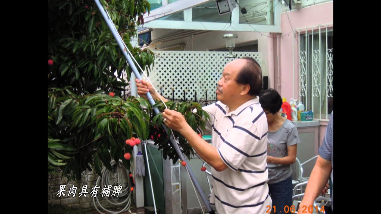 錦繡花園之荔枝宴