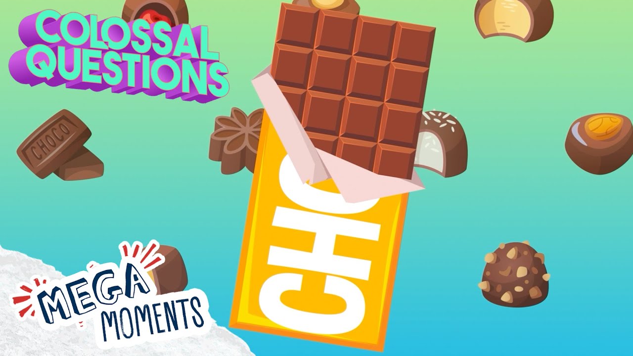 How Chocolate is Made! 🍫 | Colossal Questions 🧠 | Mega Moments