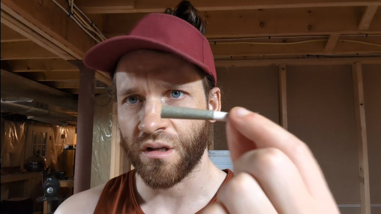 Revelry hemp pre-roll review. 