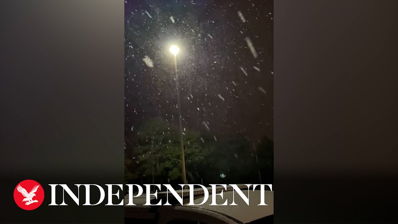 Florida sees rare snowfall as temperatures plunge in &lsquo;Sunshine State&rsquo;