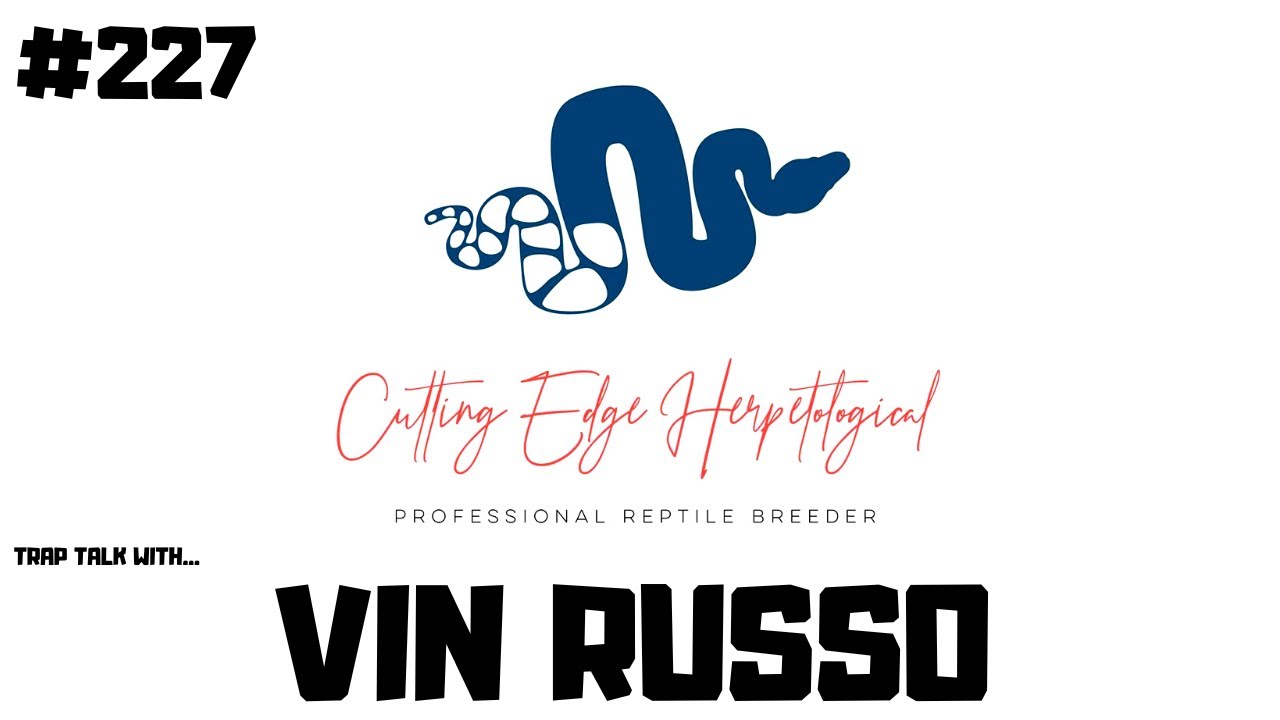 Vin Russo speaks on the reality of being a full time snake breeder | Cutting Edge Herps