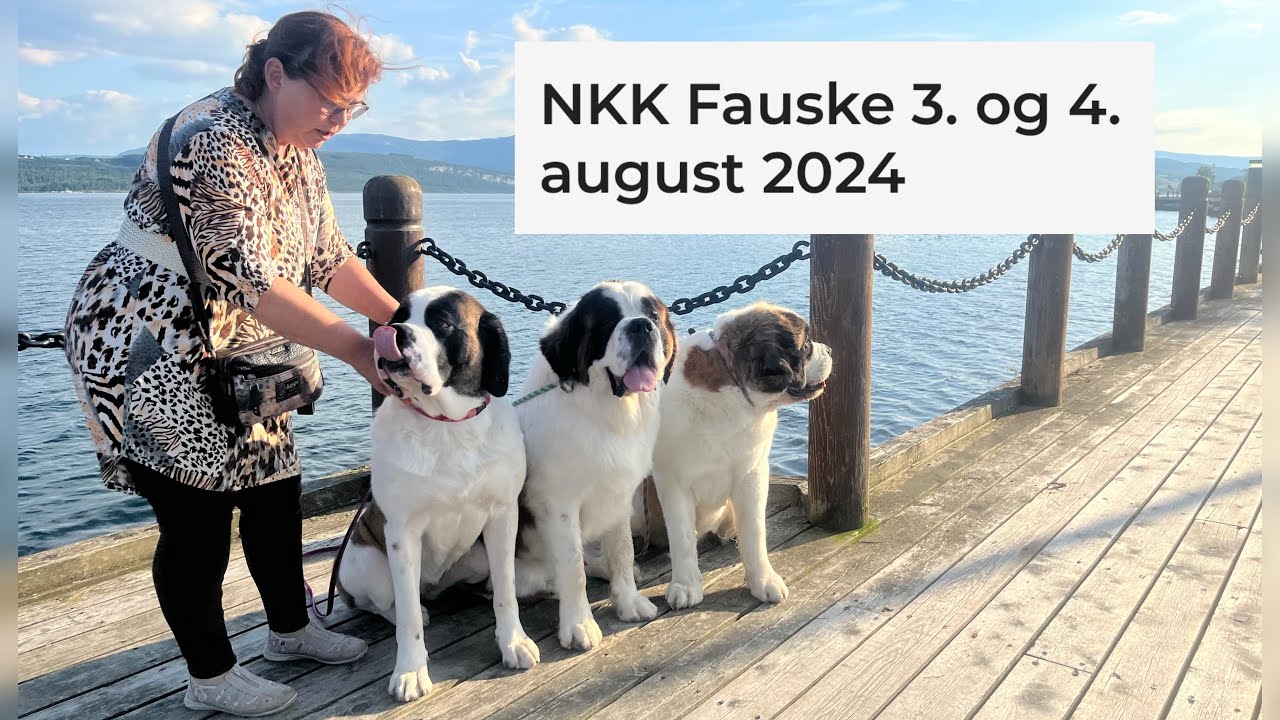 Koiranäyttelymatka 3-4.8.2024 Fauske Norja, Dog show 3-4.8.2024 Fauske Norway.