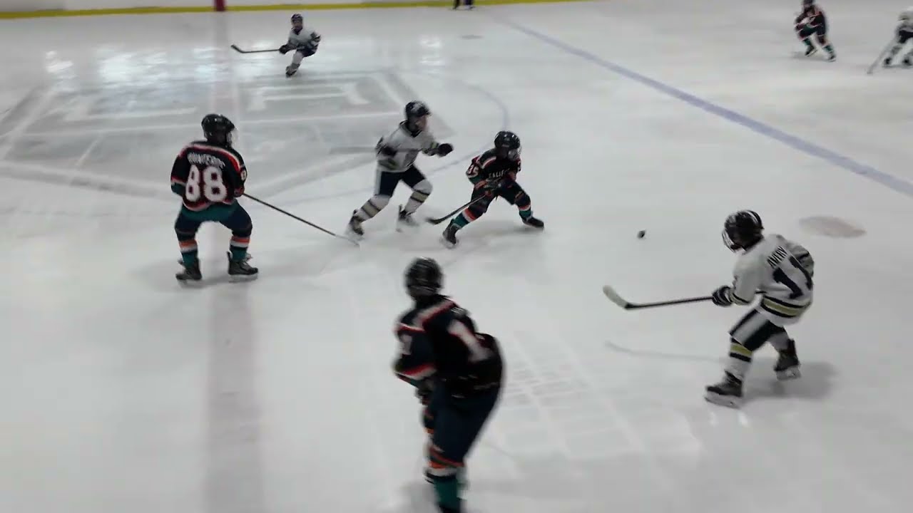 2026.03.08.Ice Dogs 12UA vs CA Waves 1st Period