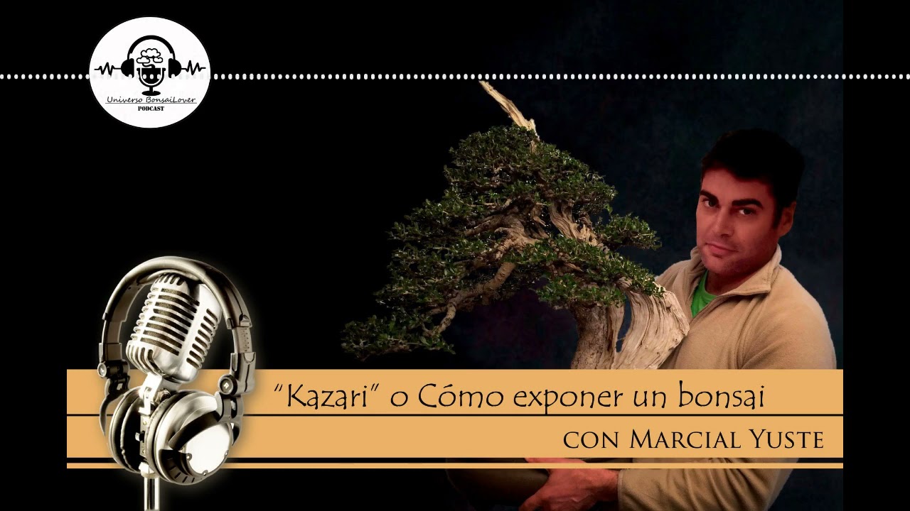 Capitulo 13. Kazari o cómo exponer un bonsai. Marcial Yuste