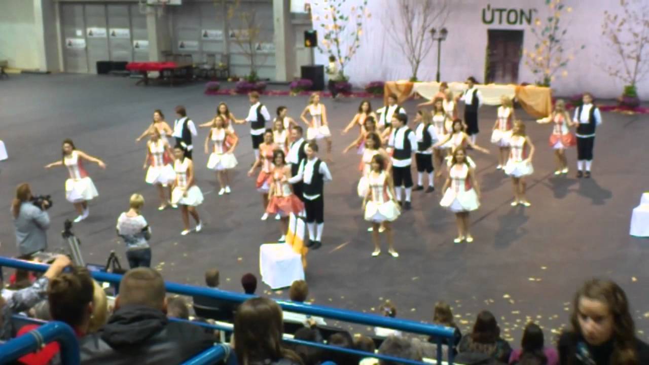 Táncsics Mihály Gimnázium Dabas szalagavató 13/E 2011.11.11.