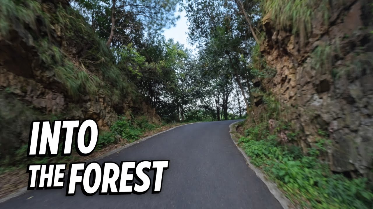Riding a Motorcycle on a Winding Mountain Road into a Forest | Hangzhou POV