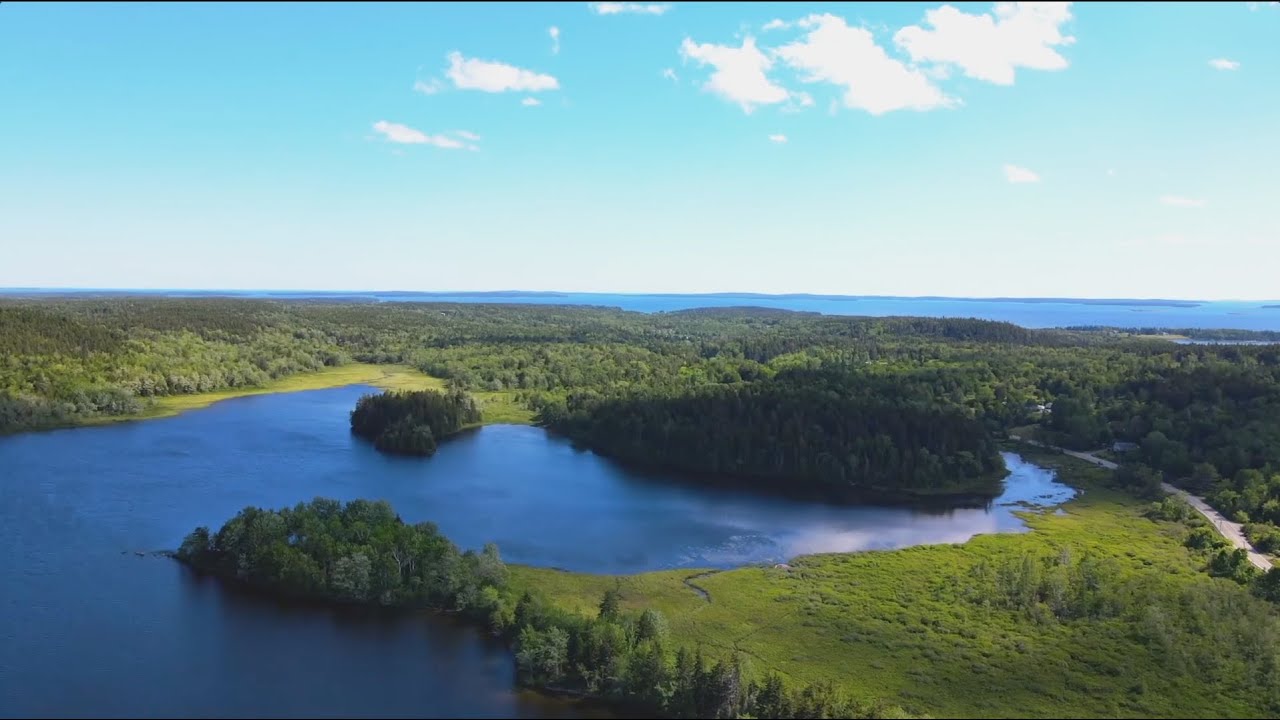 SEAL COVE POND
