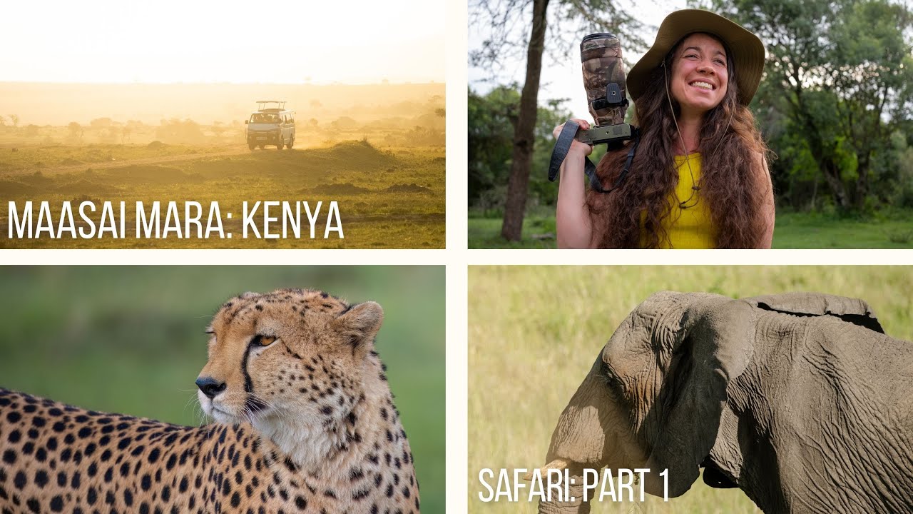 Safari in the Maasai Mara, Kenya | Part 1 | Wildlife Photography