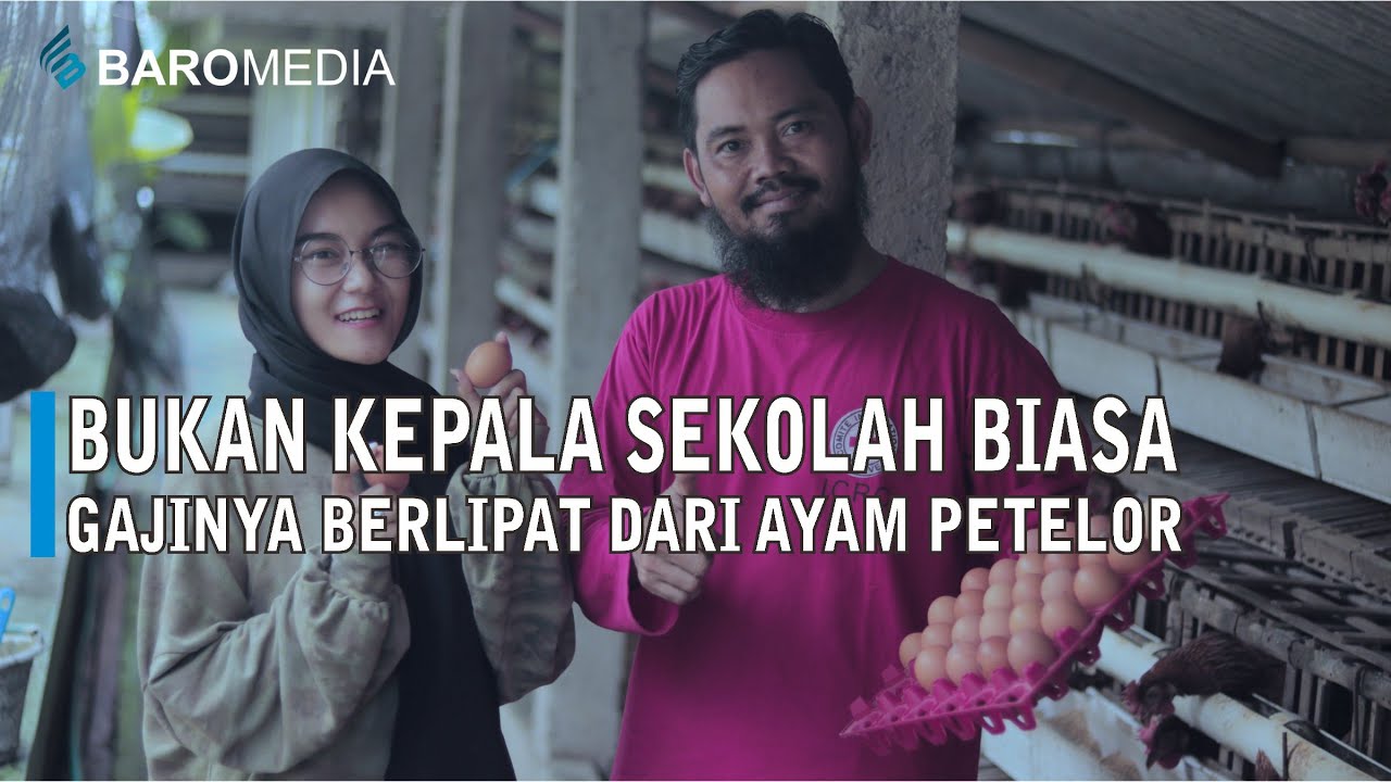 Gaji Ternak Petelor Melebihi Gaji Pokoknya Dari Kepala Sekolah - JEJAK TANI