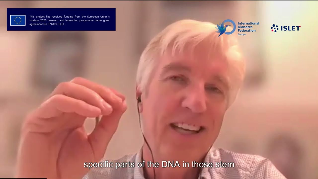 Interview with Eelco de Koning: ISLET PROJECT
