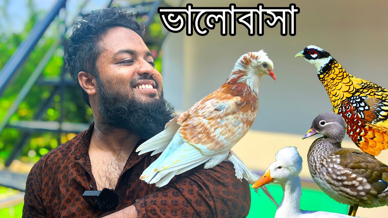 সিংহের মত লাগে বাচ্চাটাকে | Mini Zoo এর নতুন আপডেট