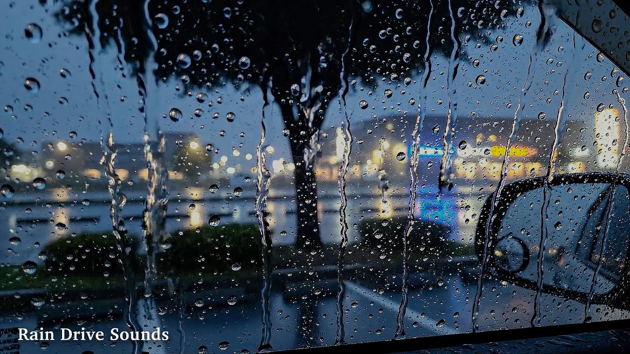Finding Shelter in a Car During a Heavy Rainstorm 😴 Cozy Sounds for Sleeping, Beat Insomnia, Calm
